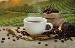 Kaffee Aktien kaufen? Das schwarze Gold des 21. Jahrhunderts