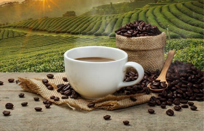 Kaffee Aktien kaufen? Das schwarze Gold des 21. Jahrhunderts