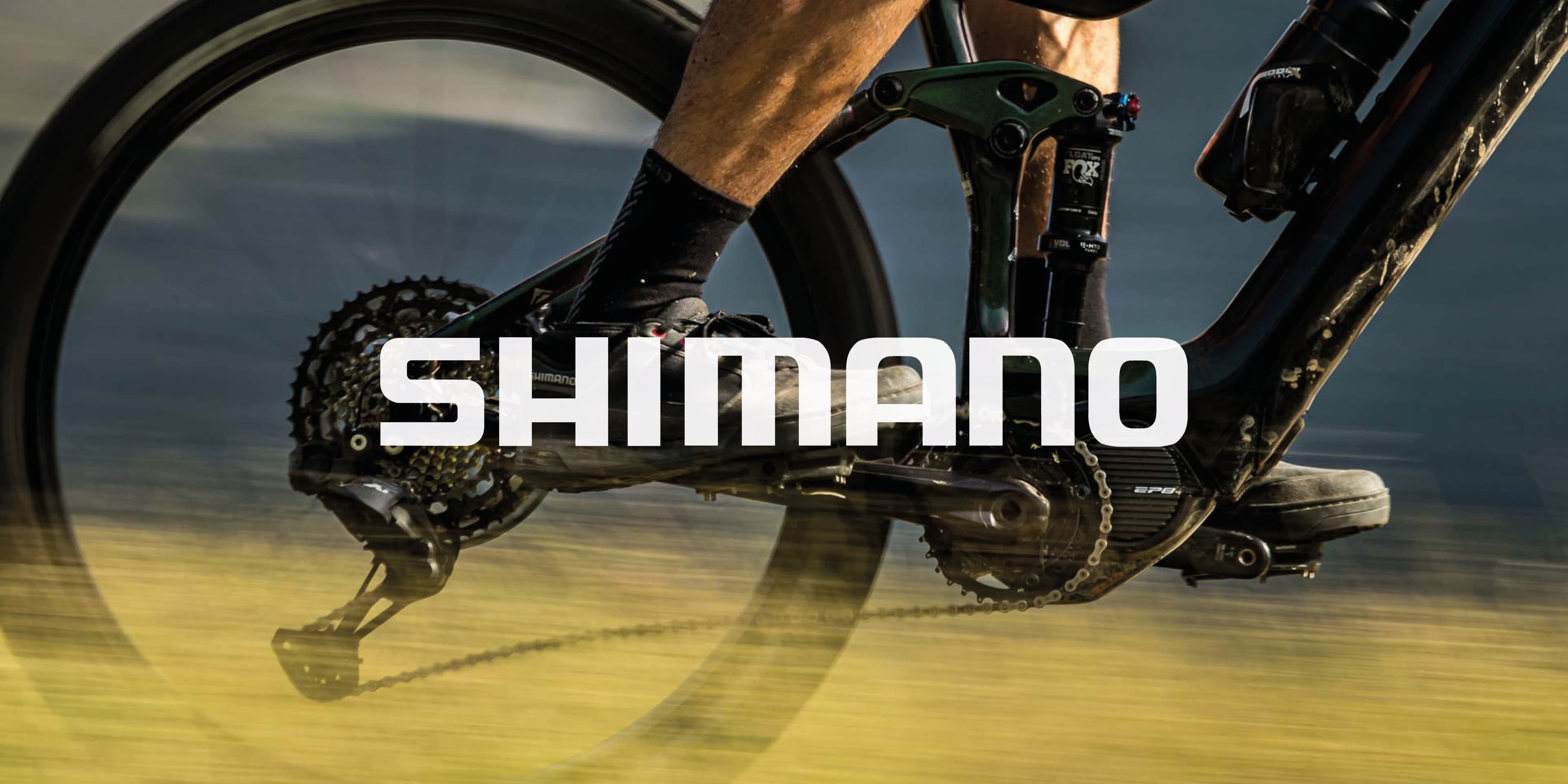 Shimano Aktienanalyse: globaler Marktführer aus Japan mit über 100 Jahren Erfahrung