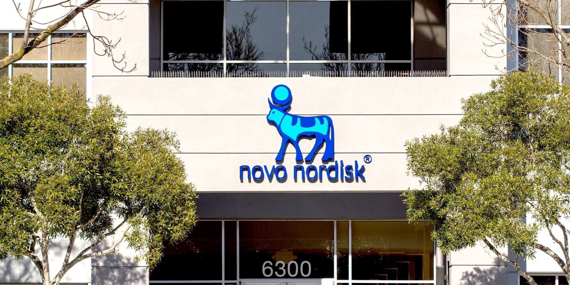 Novo Nordisk Aktienanalyse: Profitieren von zwei der größten Zivilisationskrankheiten—Diabetes und Fettleibigkeit