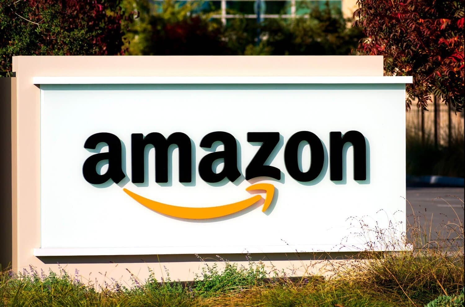 Amazon Aktienanalyse: Das größte Startup der Welt wird zur Customer-Obsession Internet-Holding